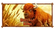 Buffalo King